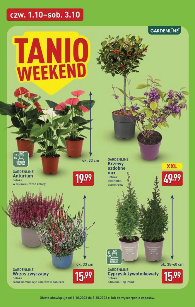 Flyer page 42