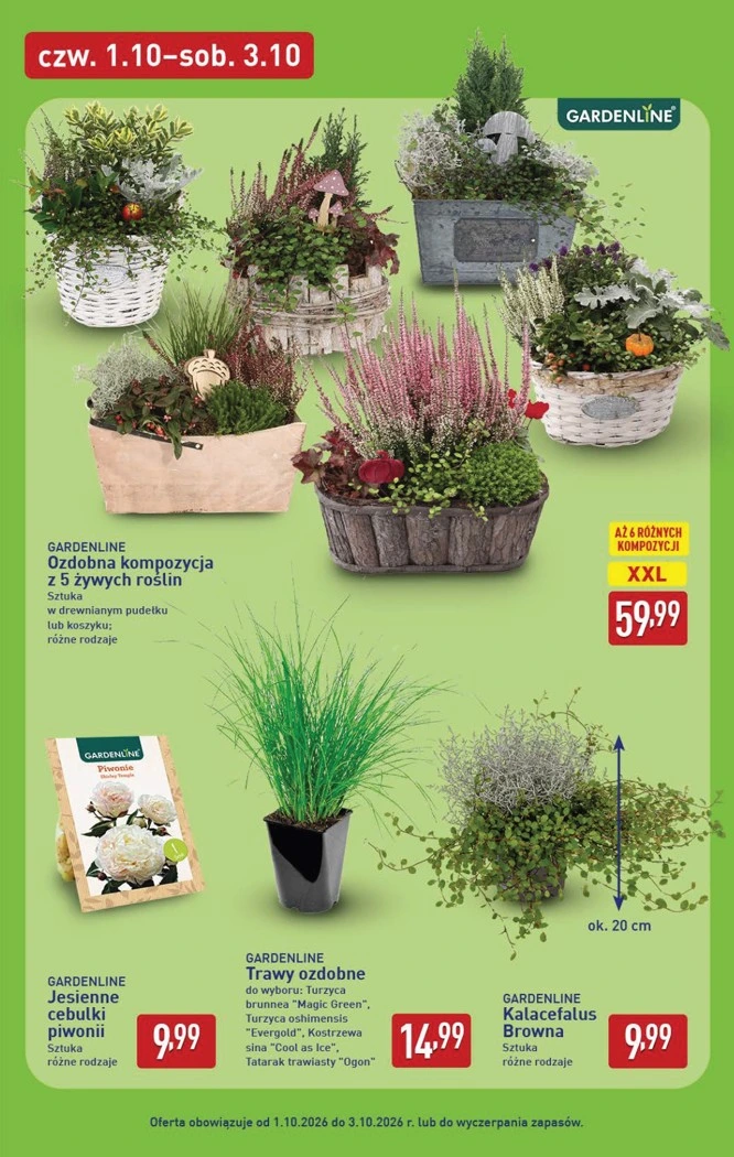 Flyer page 43