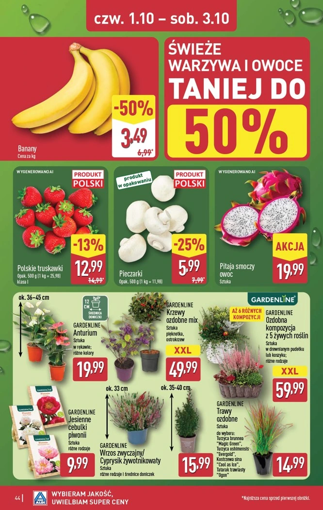 Flyer page 44