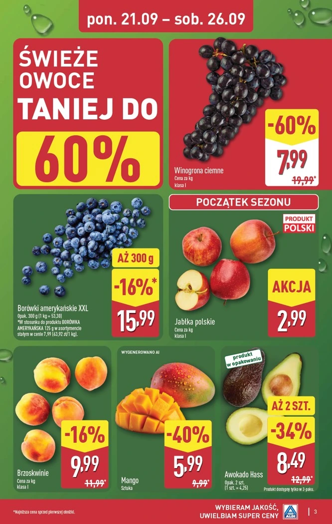 Flyer page 3