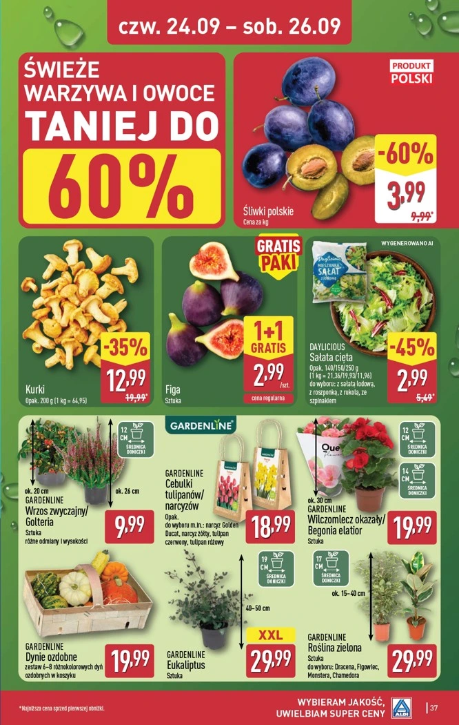 Flyer page 37