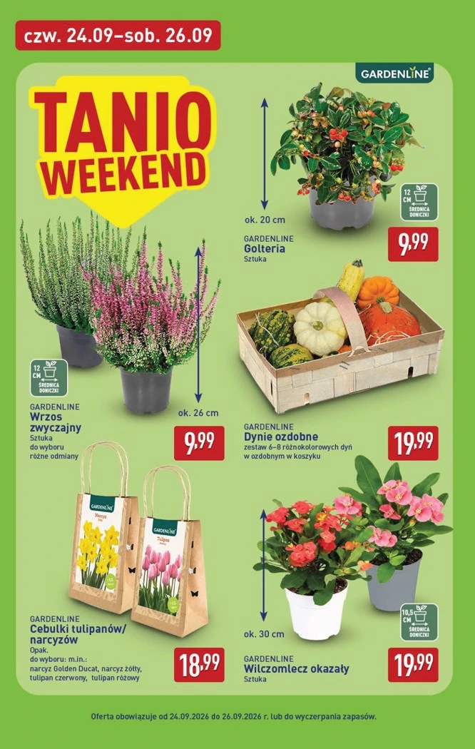 Flyer page 38