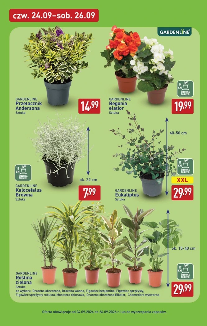 Flyer page 39