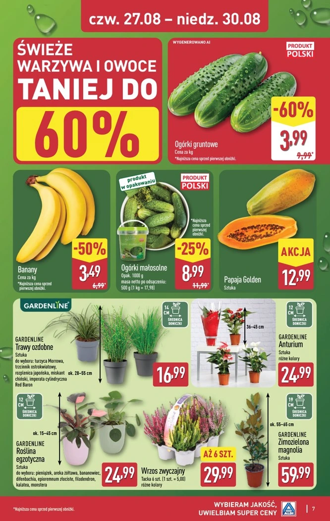 Flyer page 7