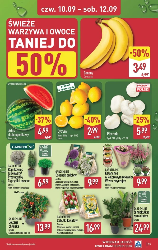 Flyer page 35