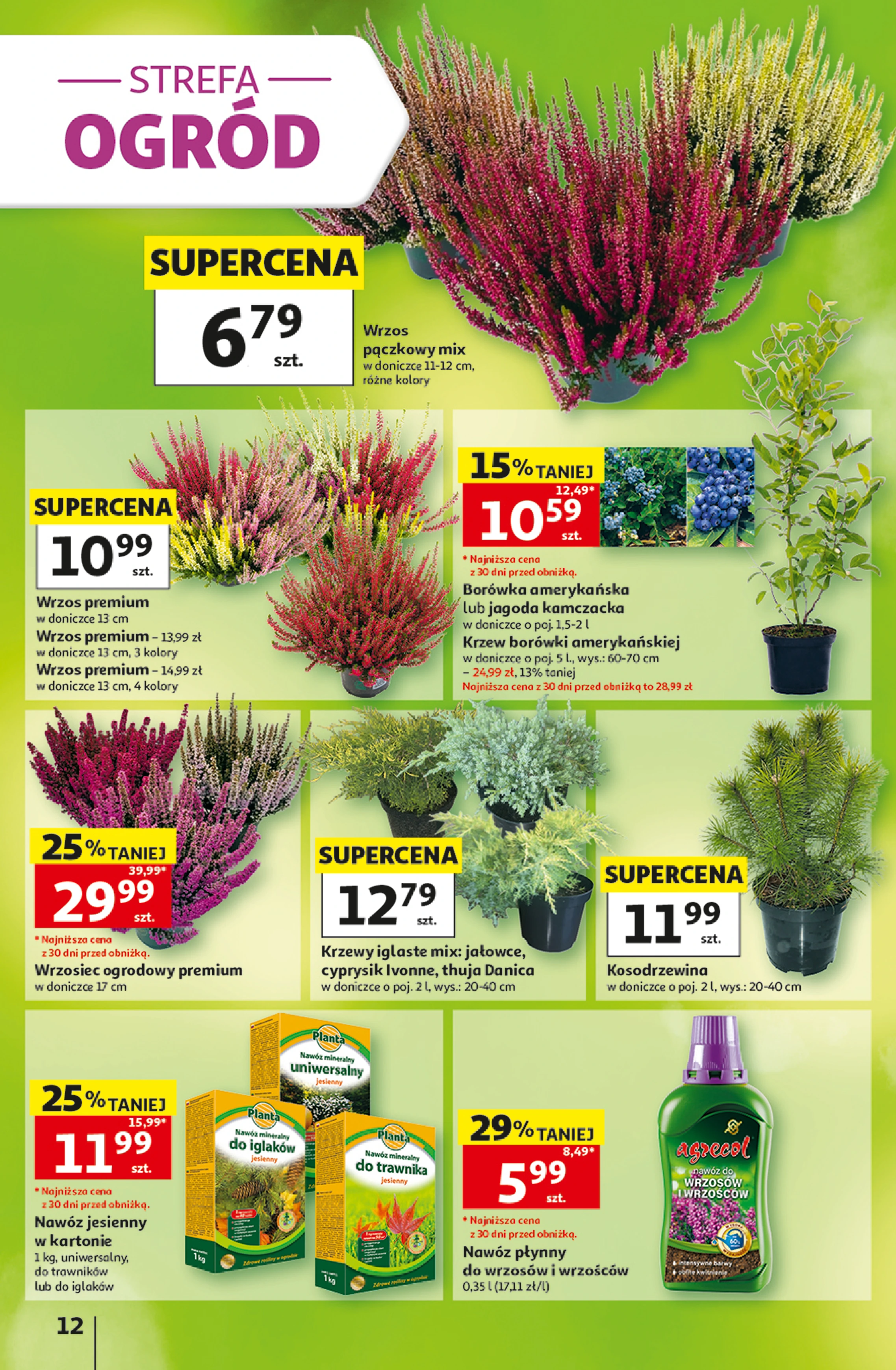 Flyer page 12