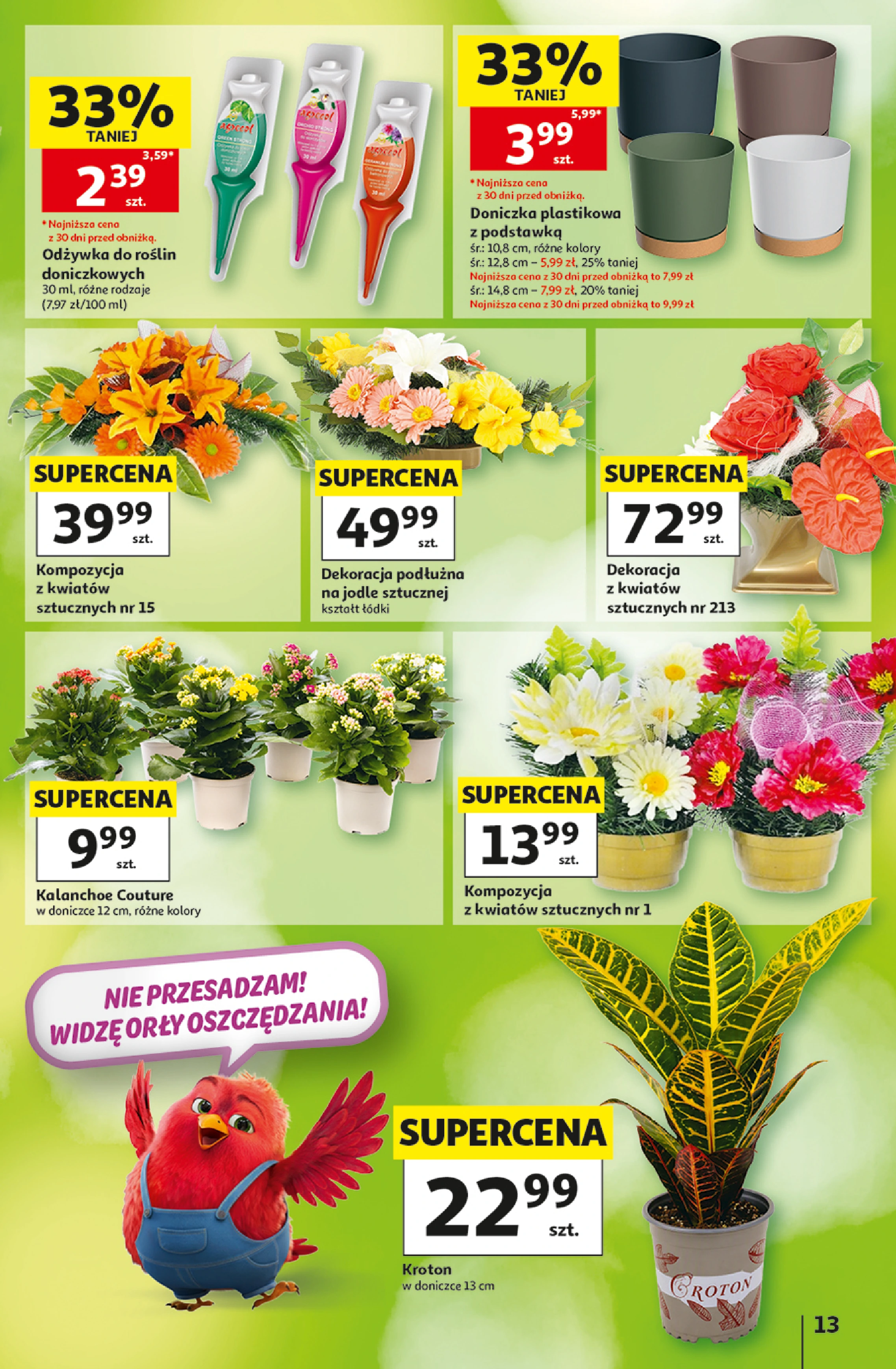 Flyer page 13