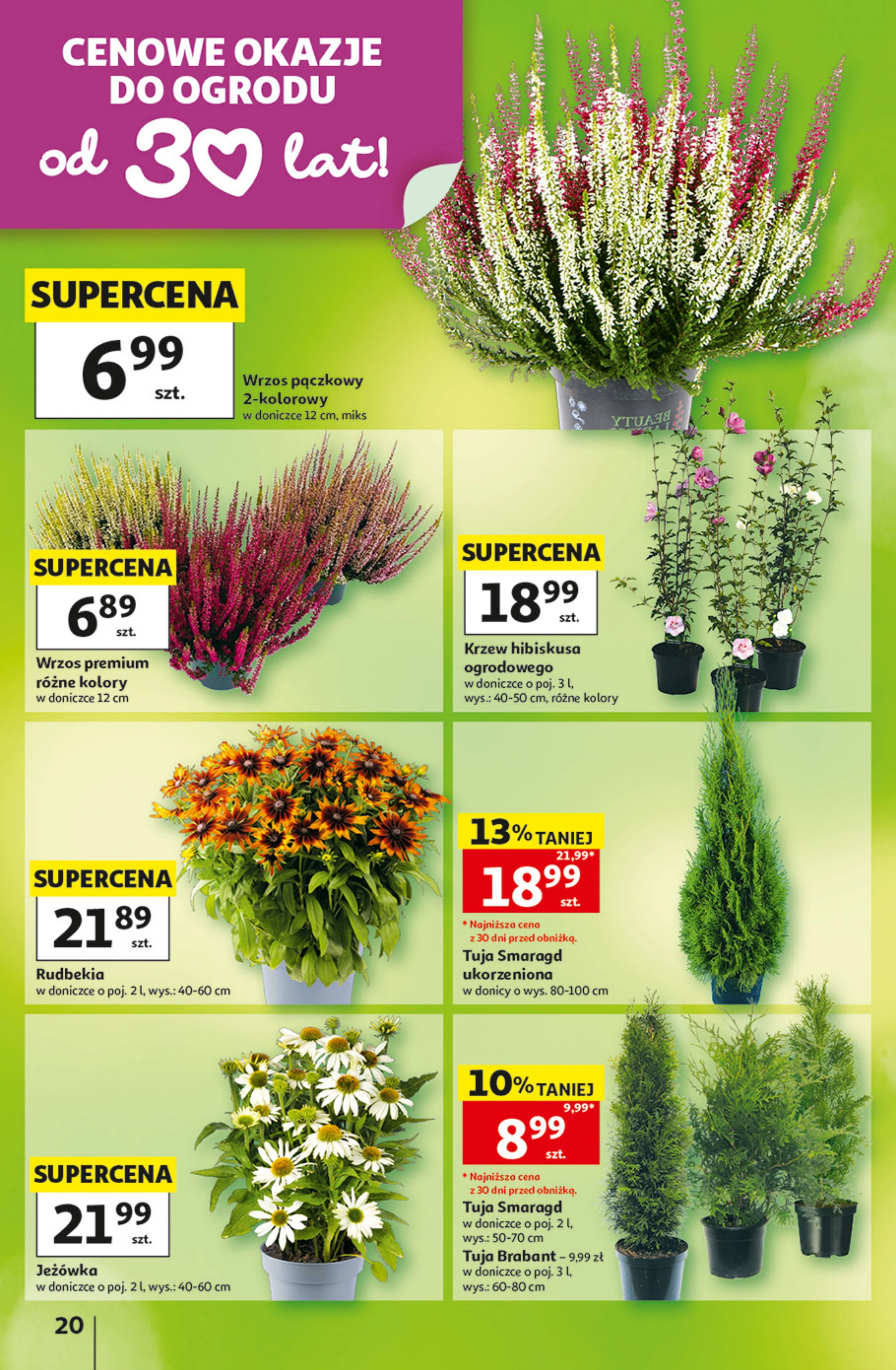 Flyer page 20