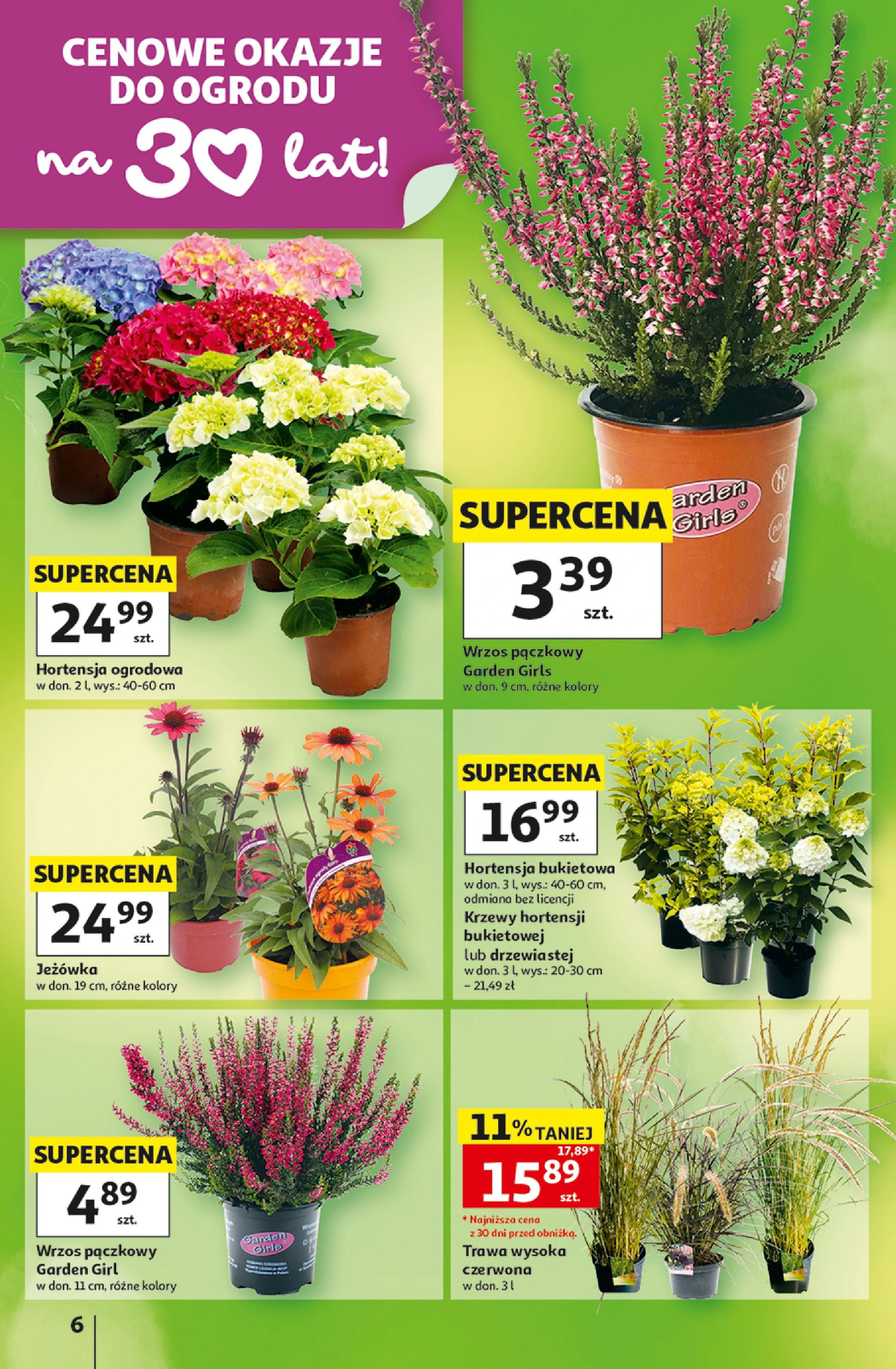 Flyer page 6