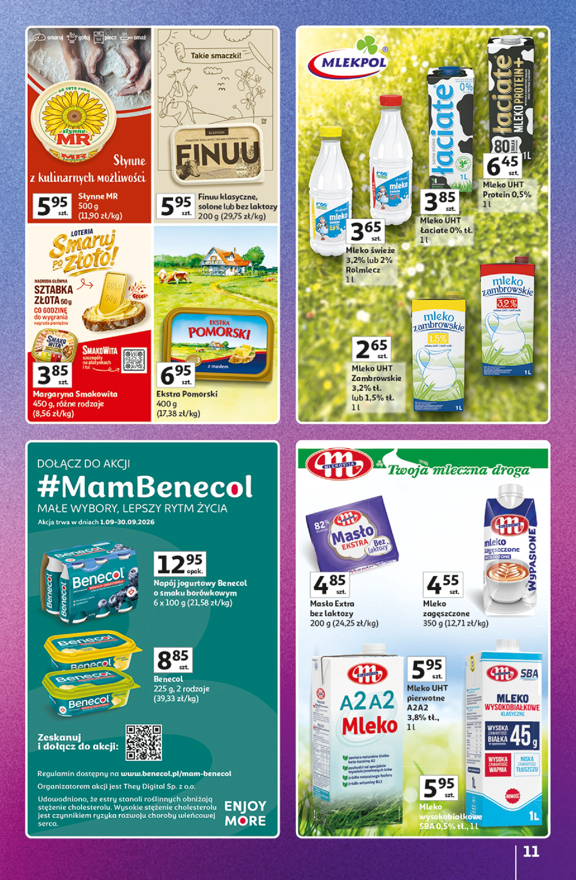 Flyer page 11