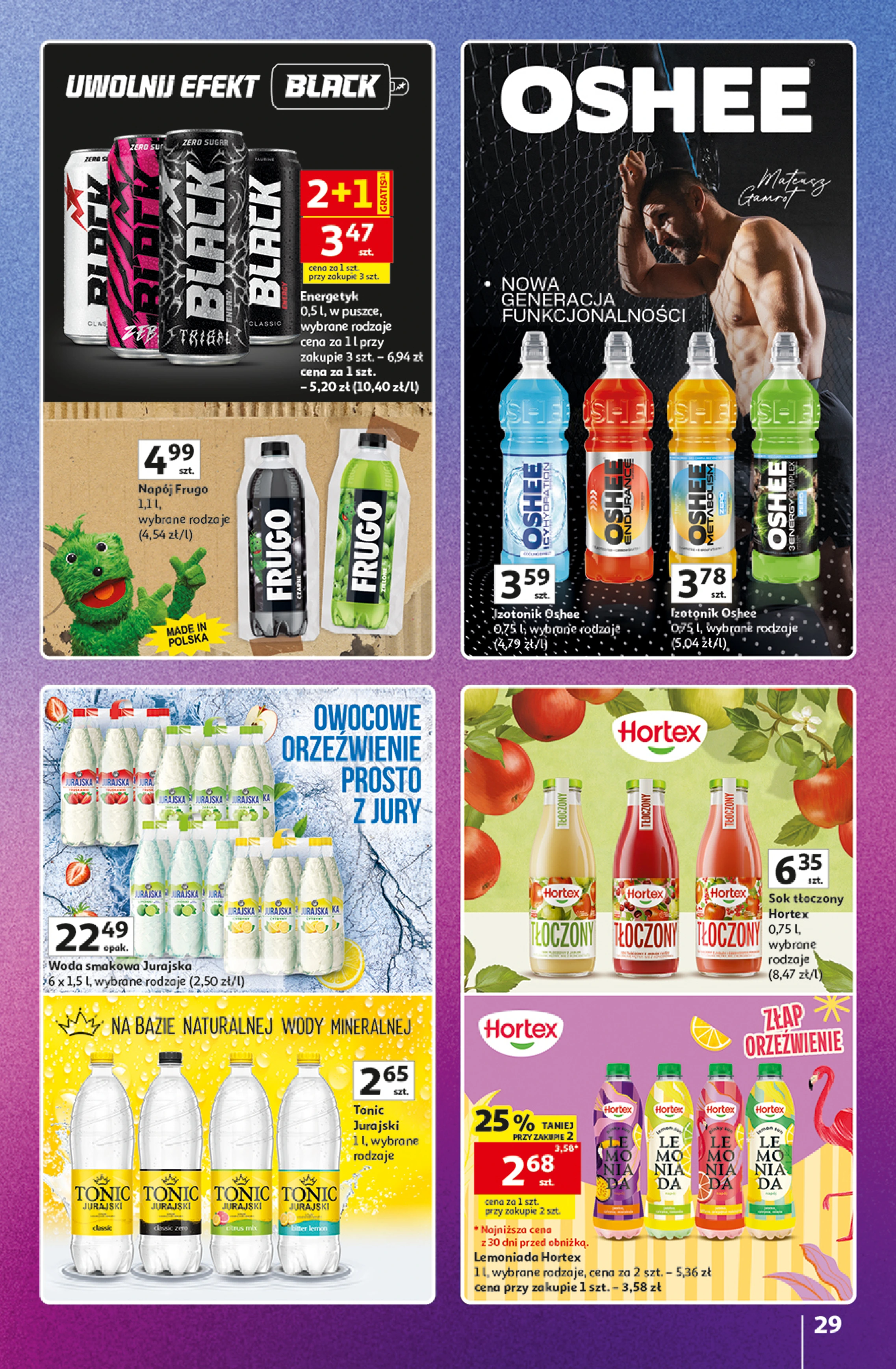 Flyer page 29