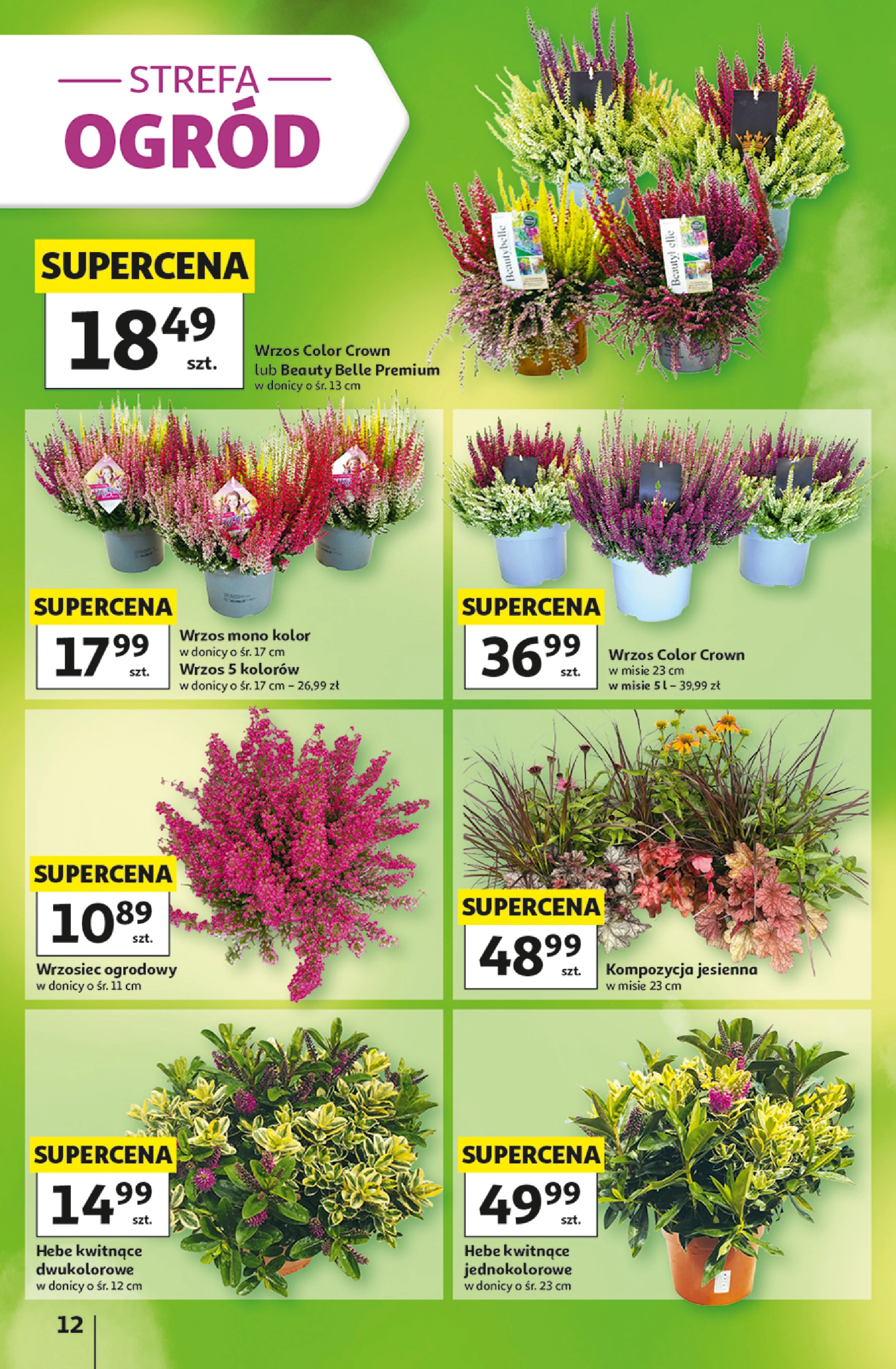 Flyer page 12