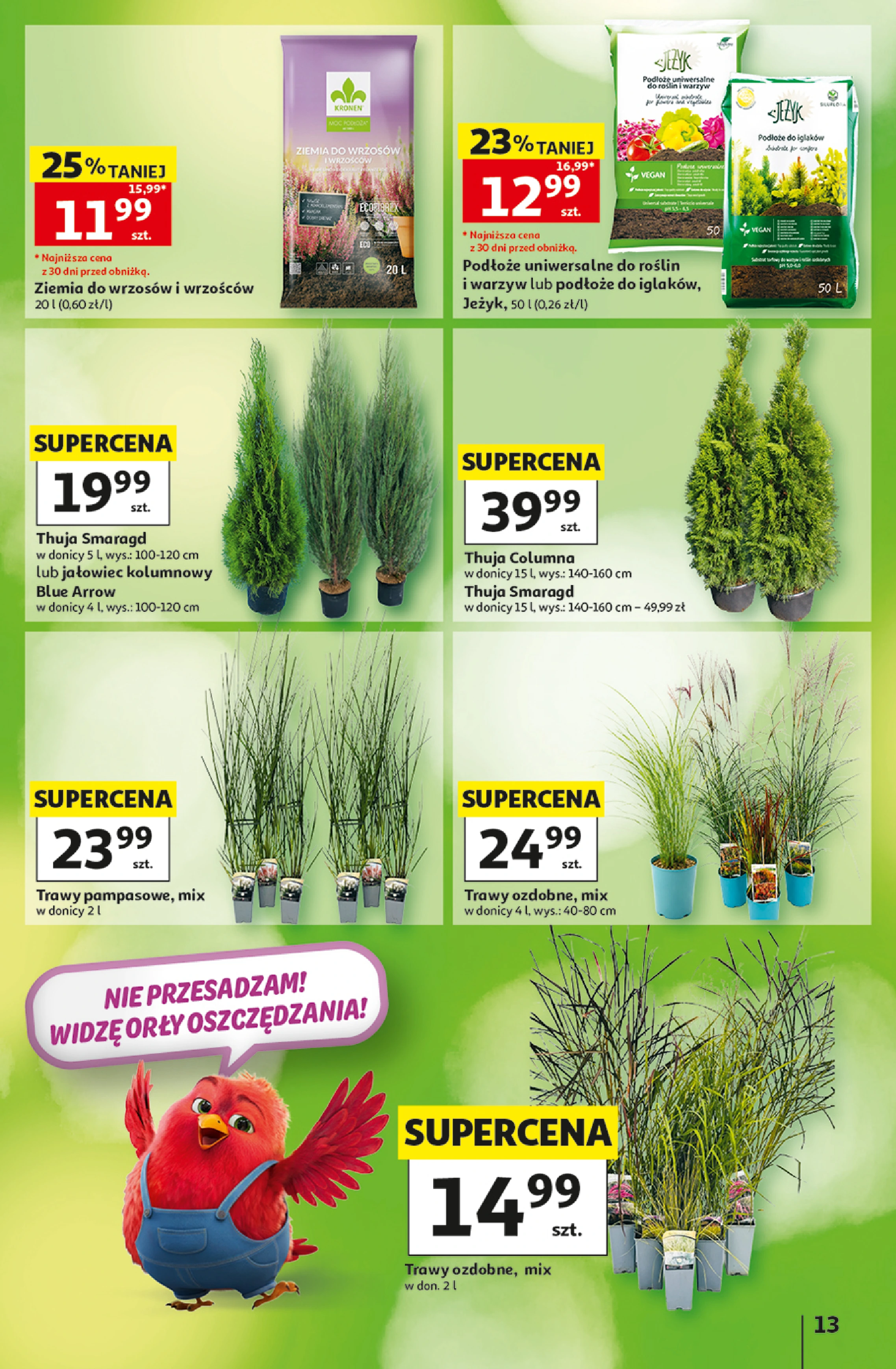 Flyer page 13