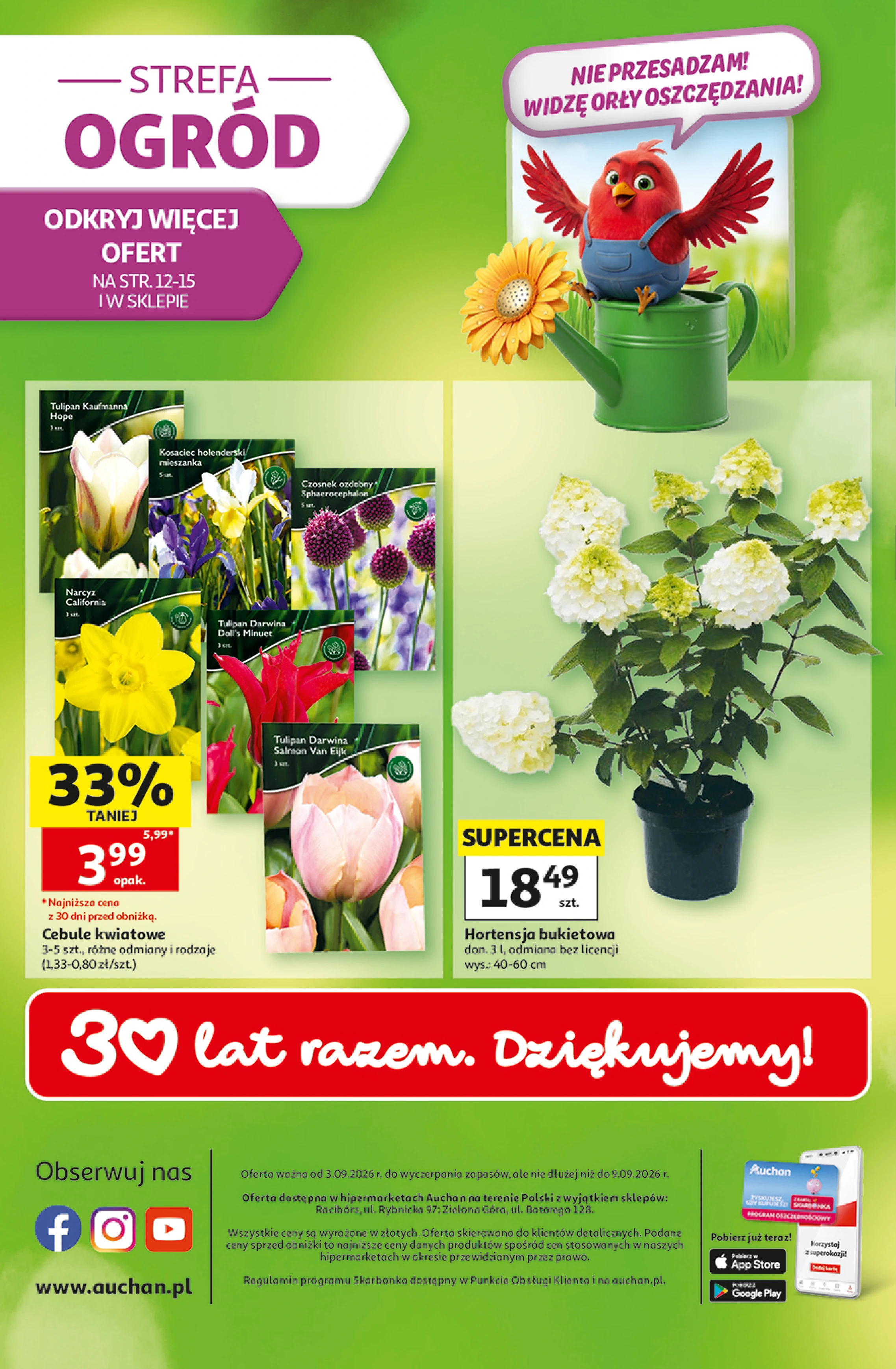 Flyer page 49