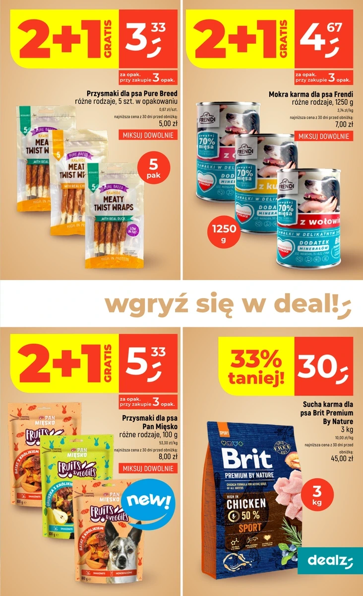 Flyer page 41