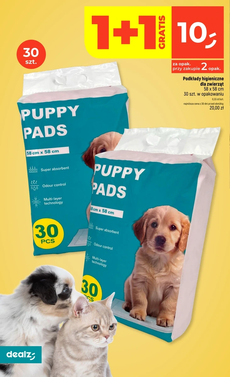 Flyer page 44