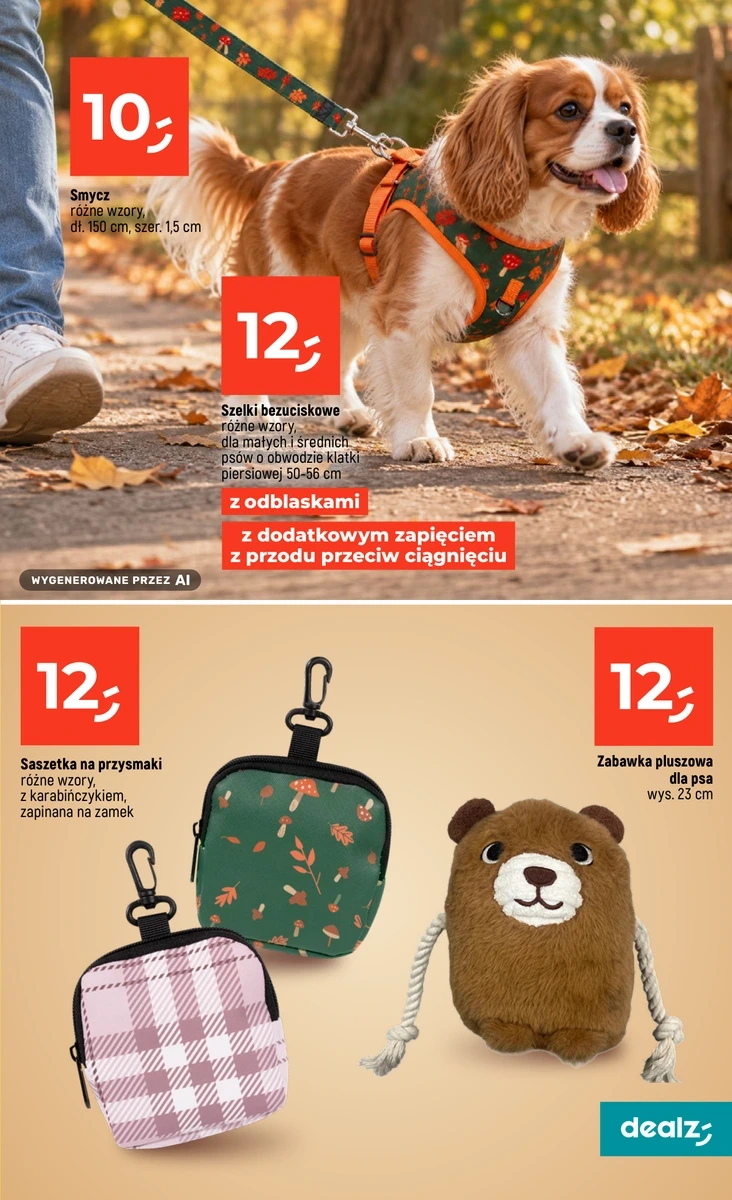 Flyer page 45