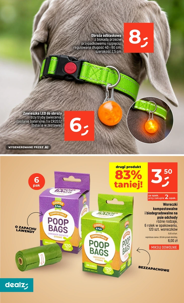 Flyer page 46