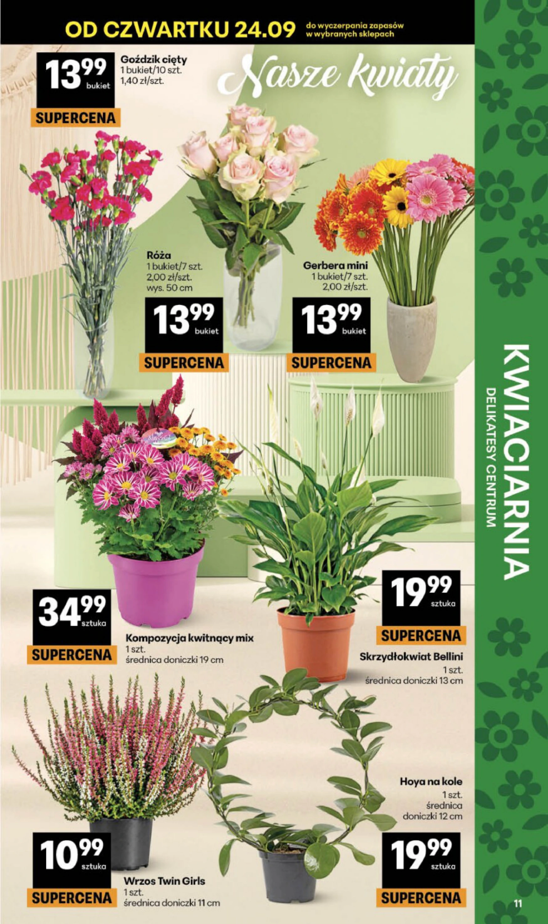 Flyer page 11