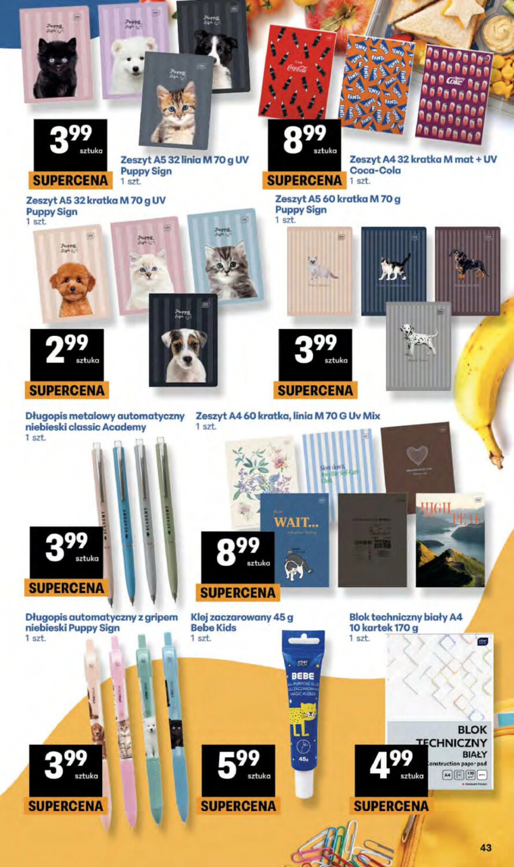 Flyer page 43