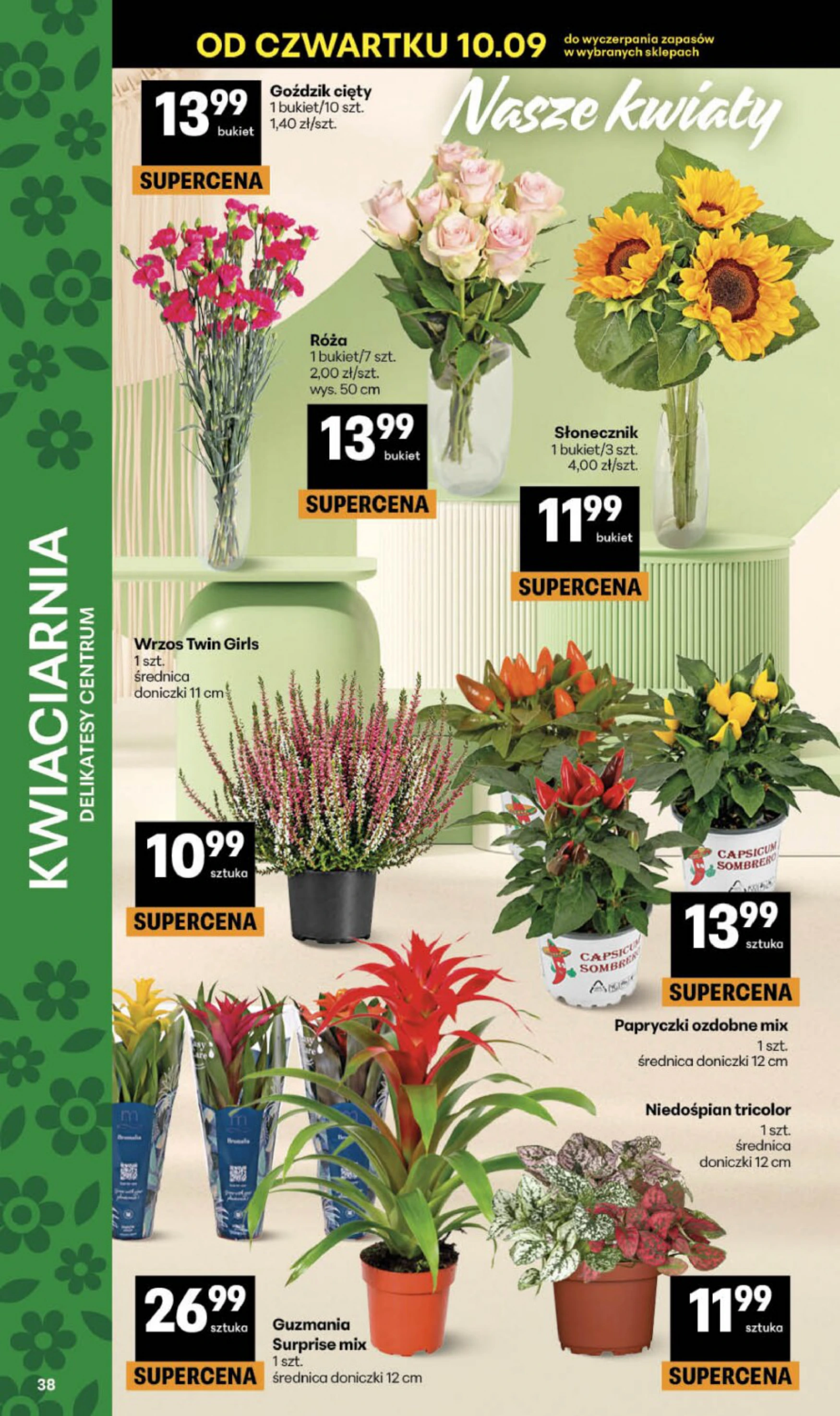 Flyer page 38