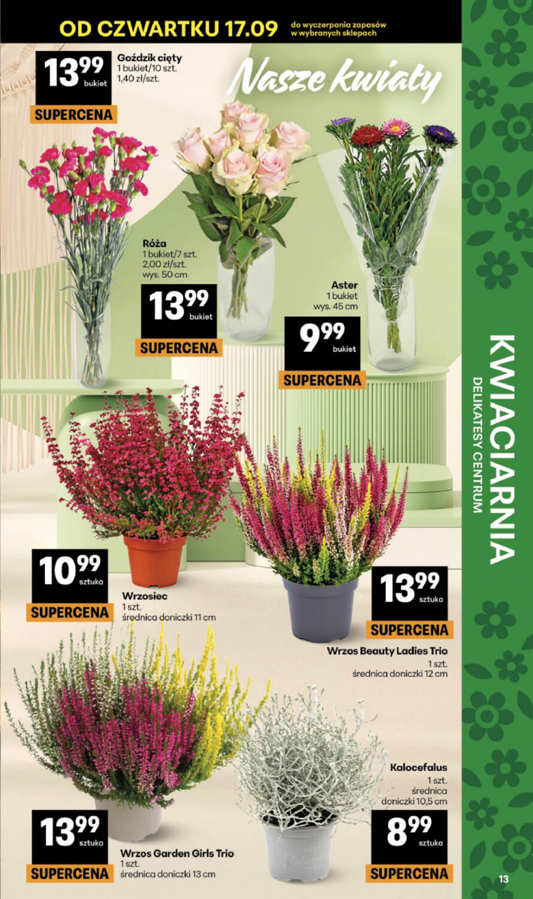 Flyer page 13