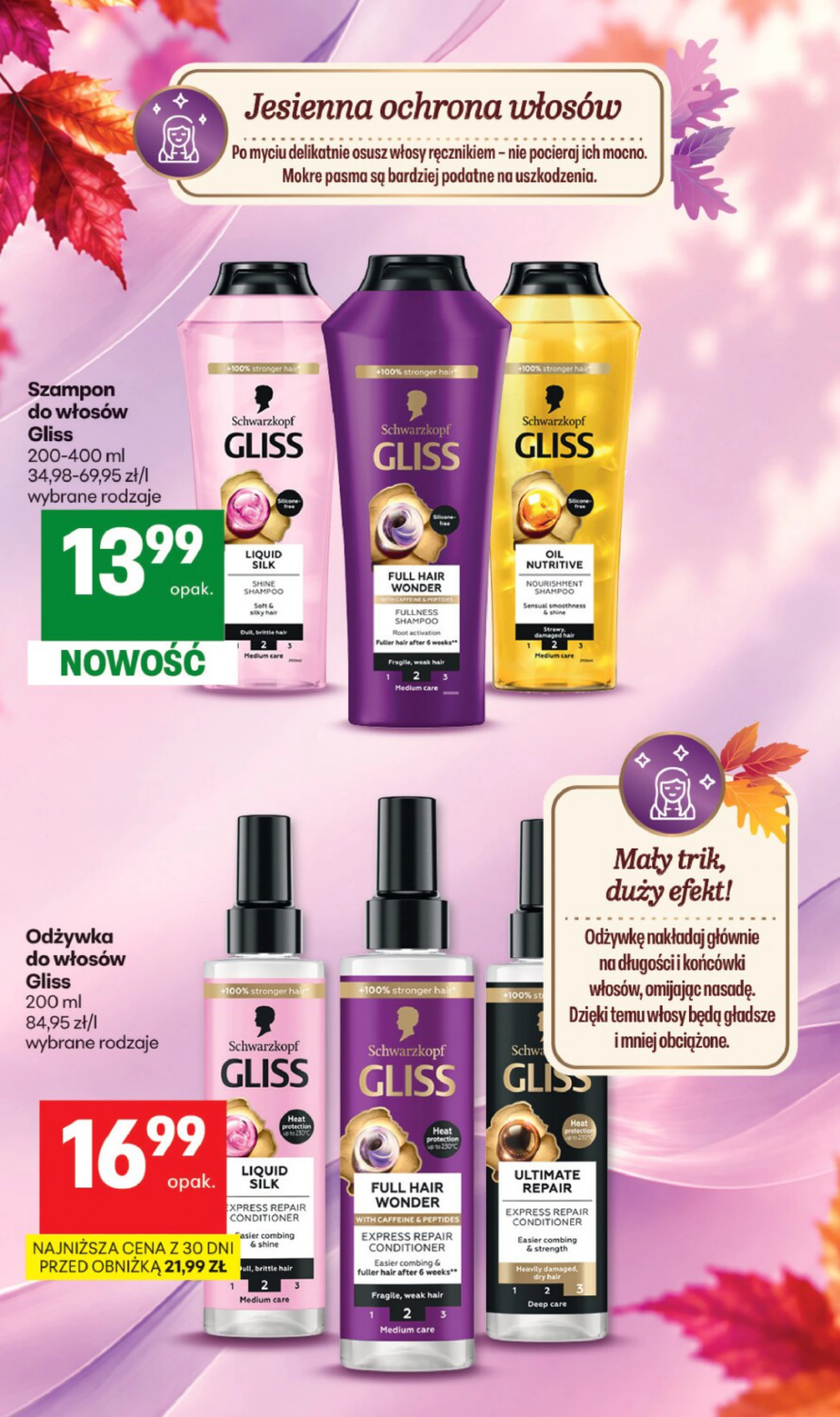 Flyer page 13