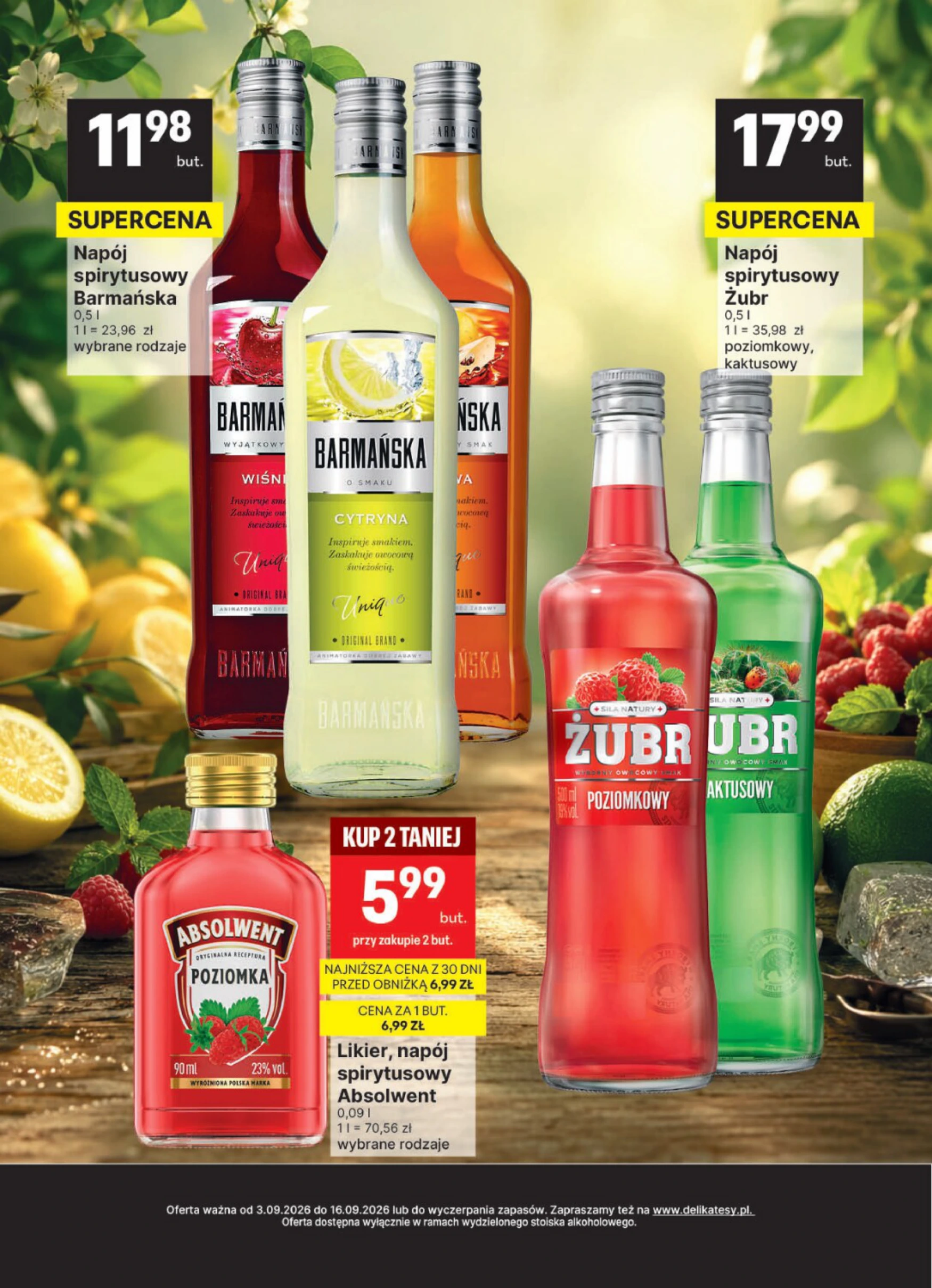 Flyer page 13