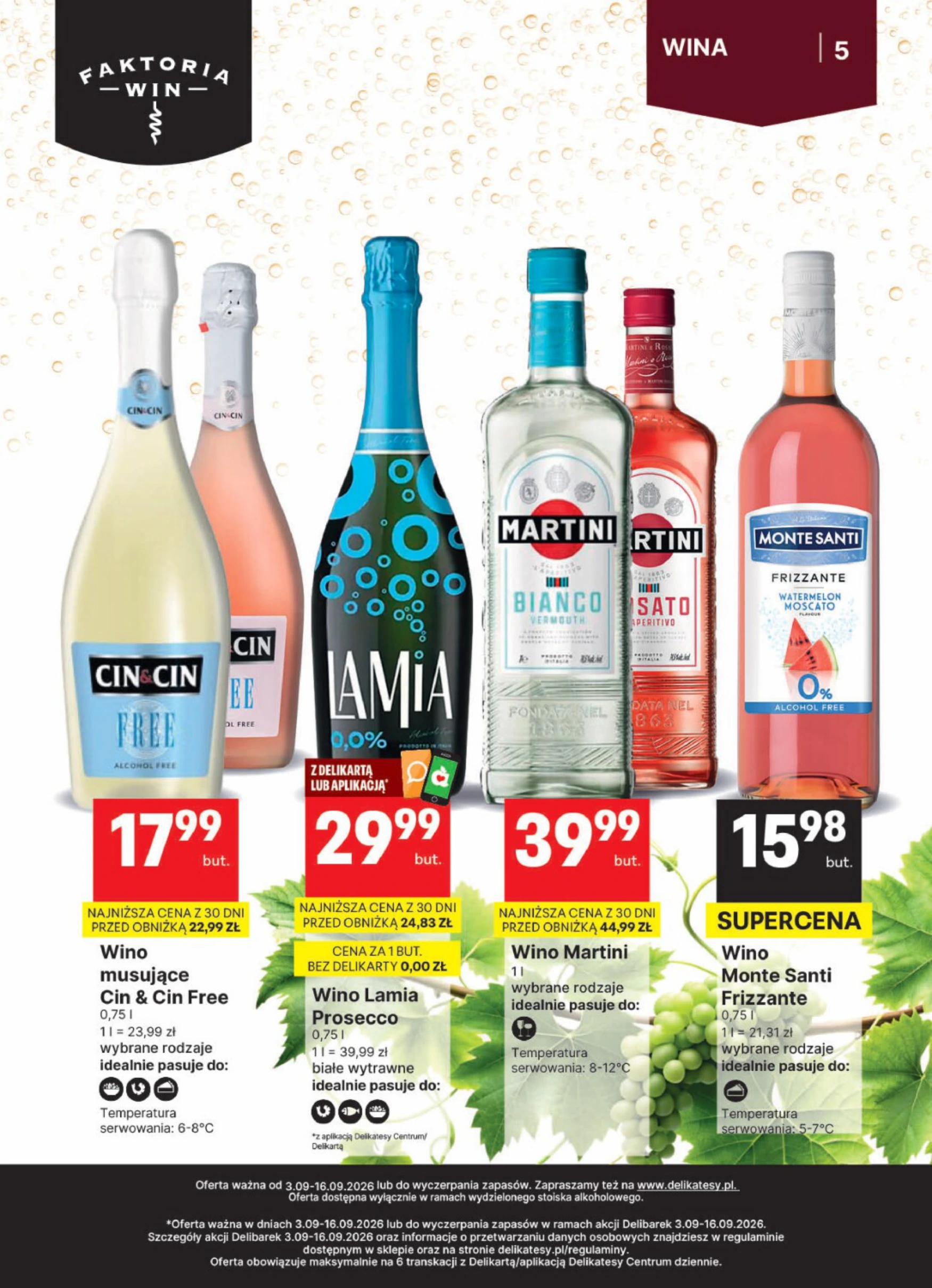 Flyer page 5
