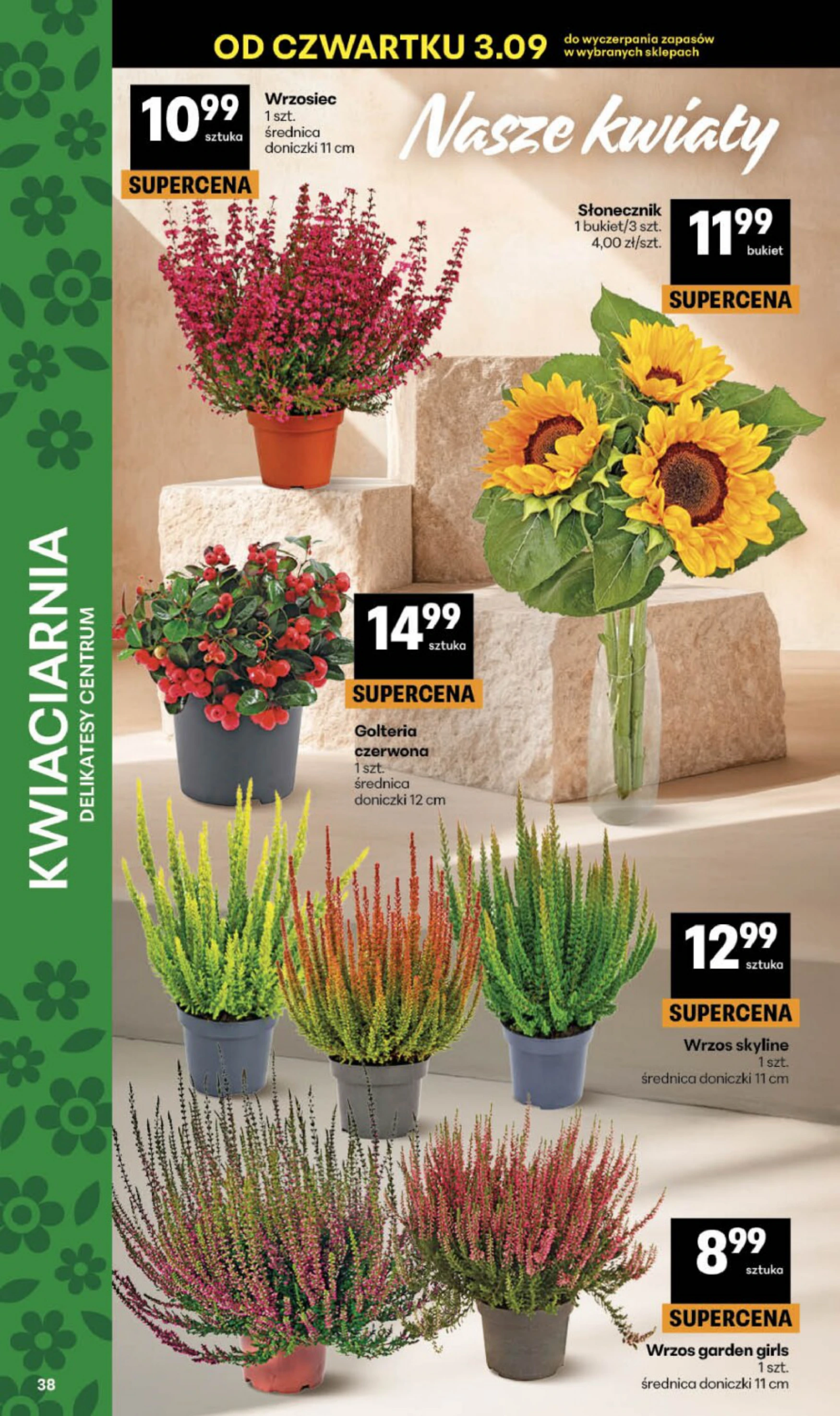 Flyer page 38