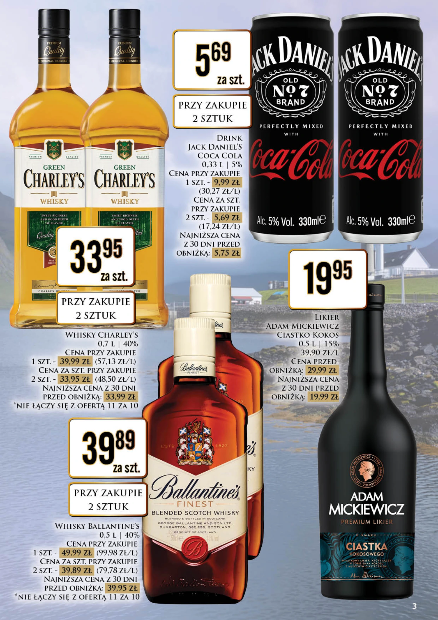 Flyer page 3
