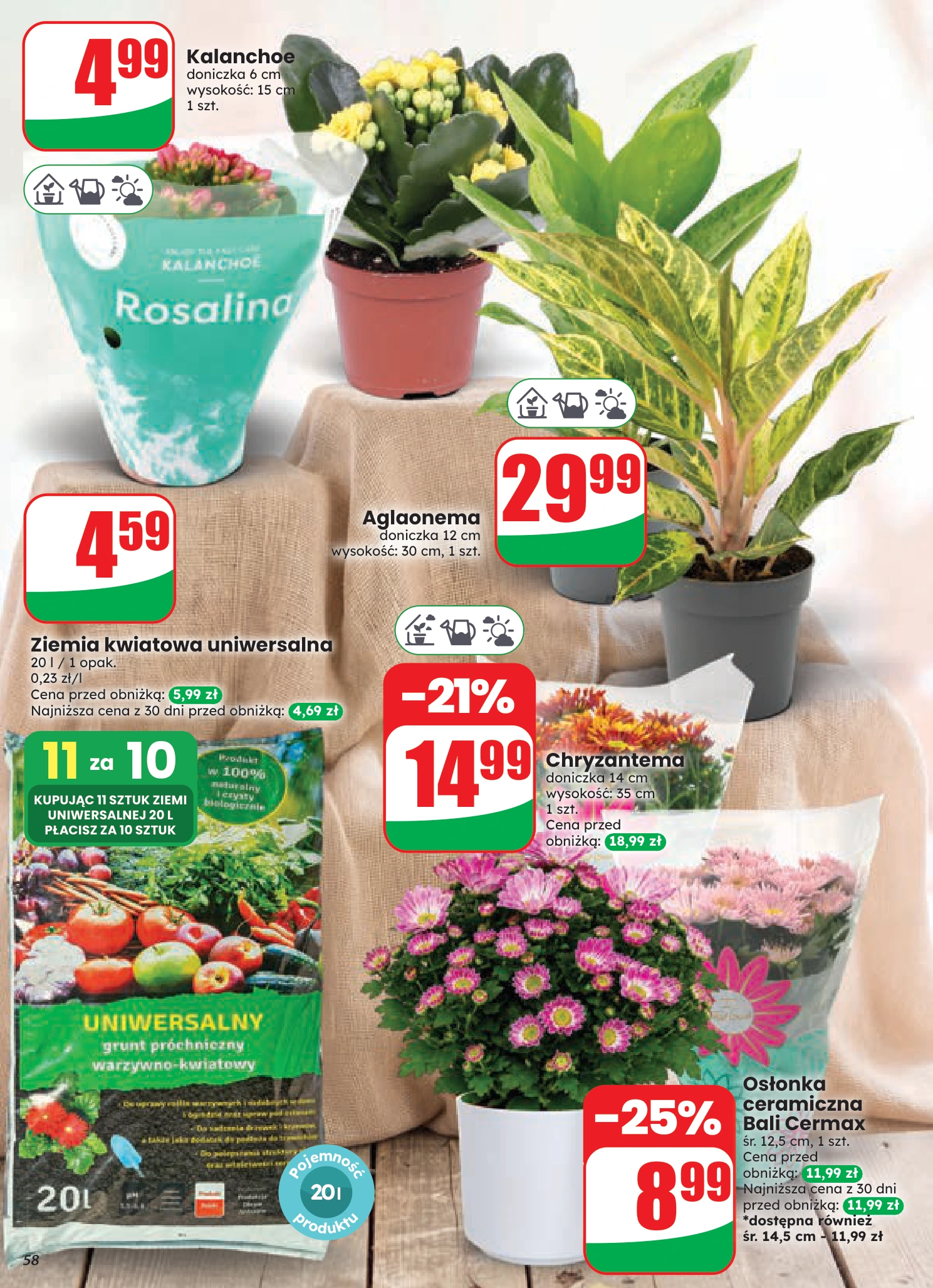Flyer page 58