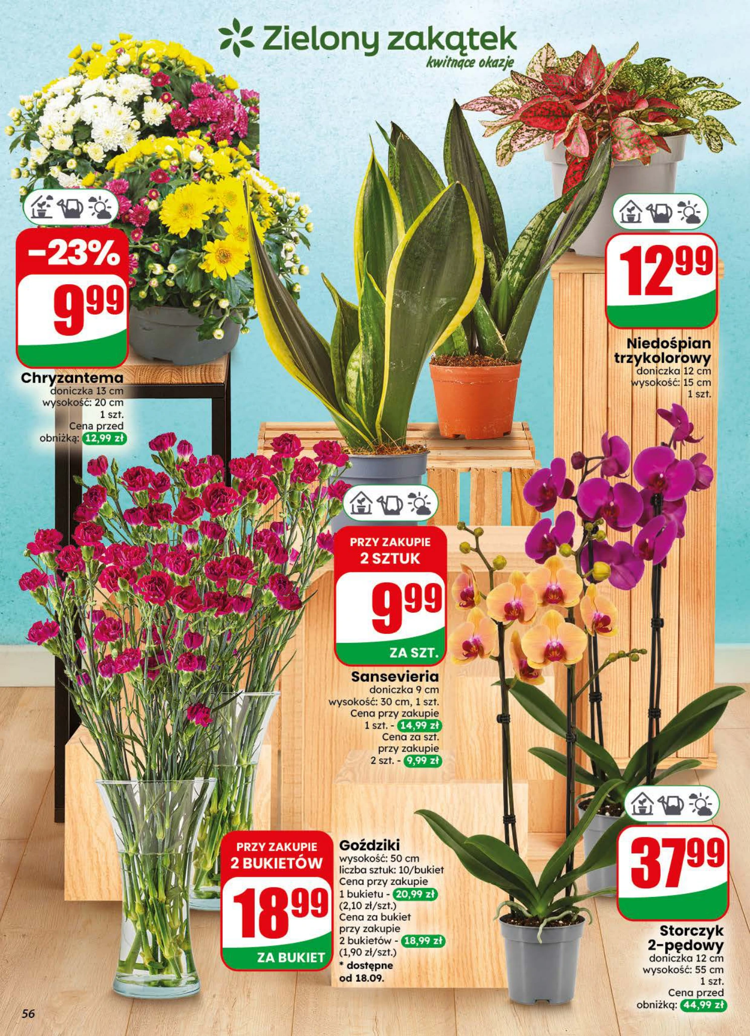 Flyer page 56