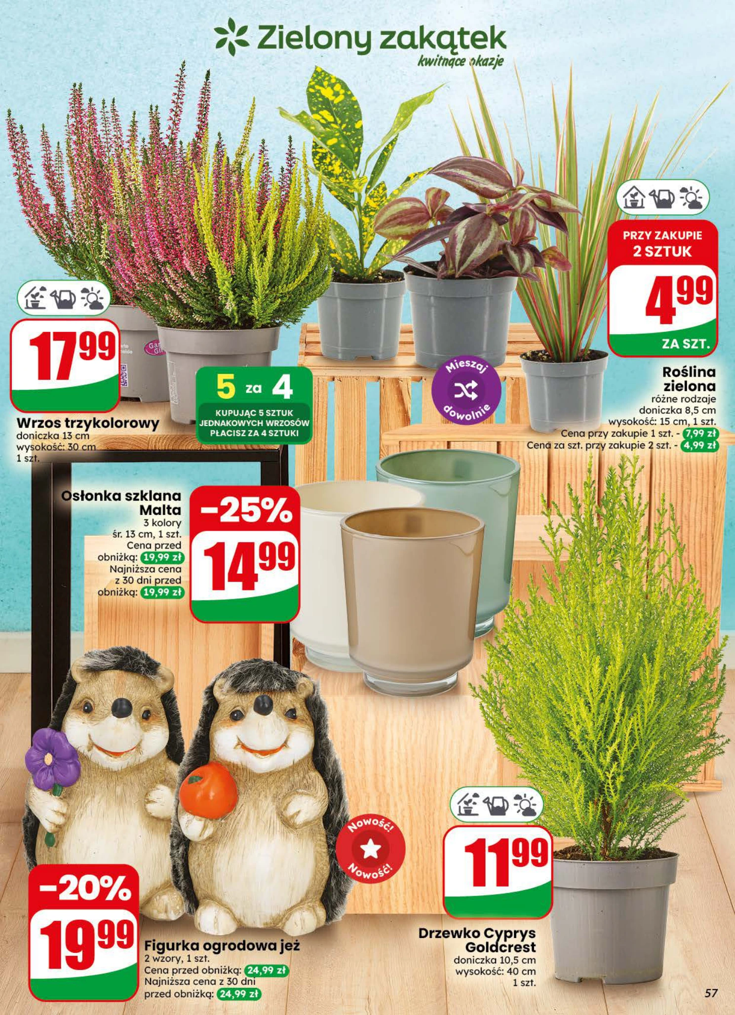 Flyer page 57