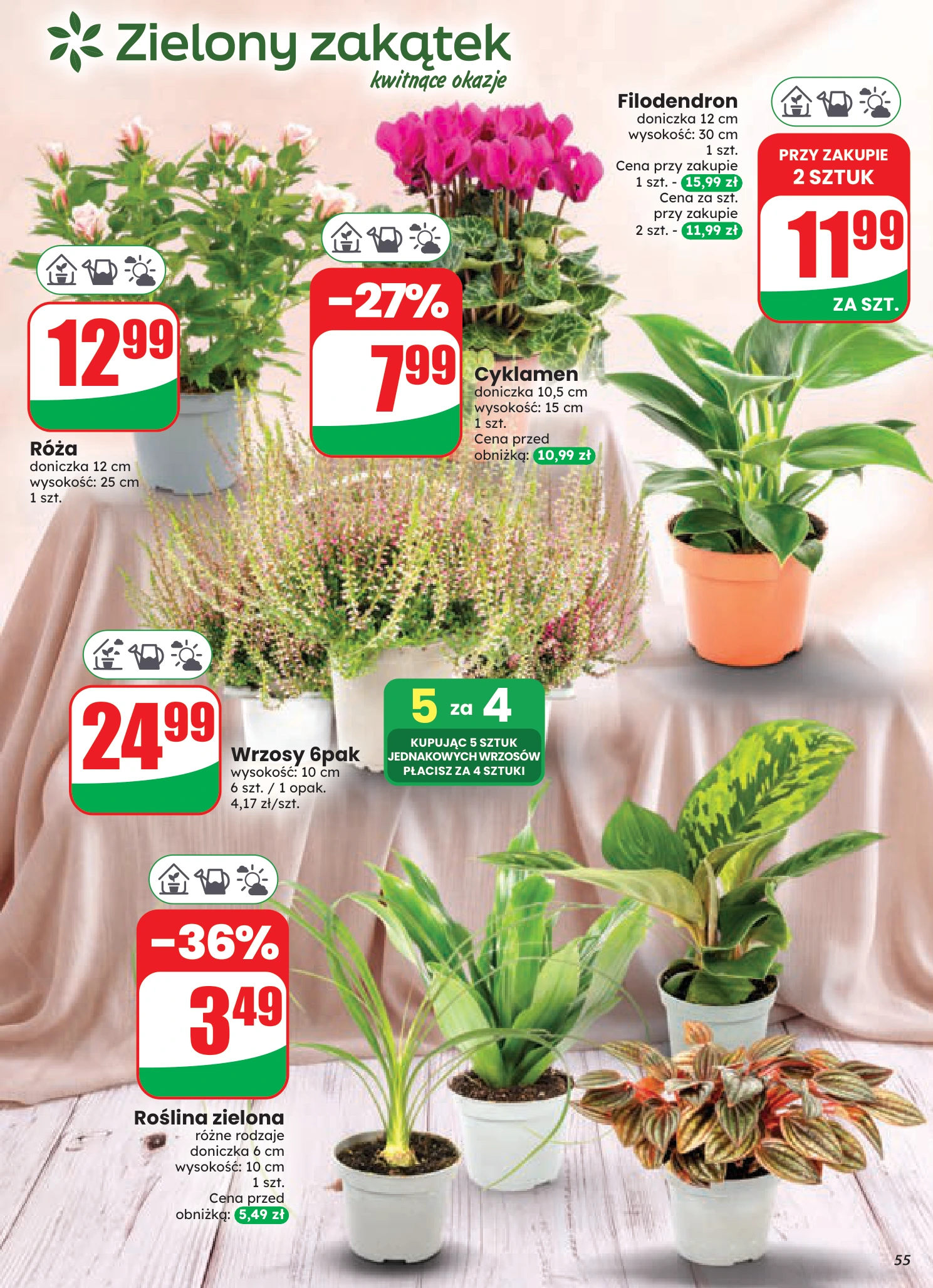 Flyer page 55