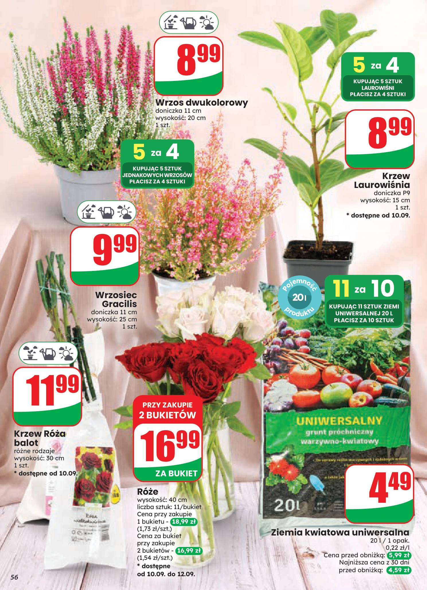 Flyer page 56