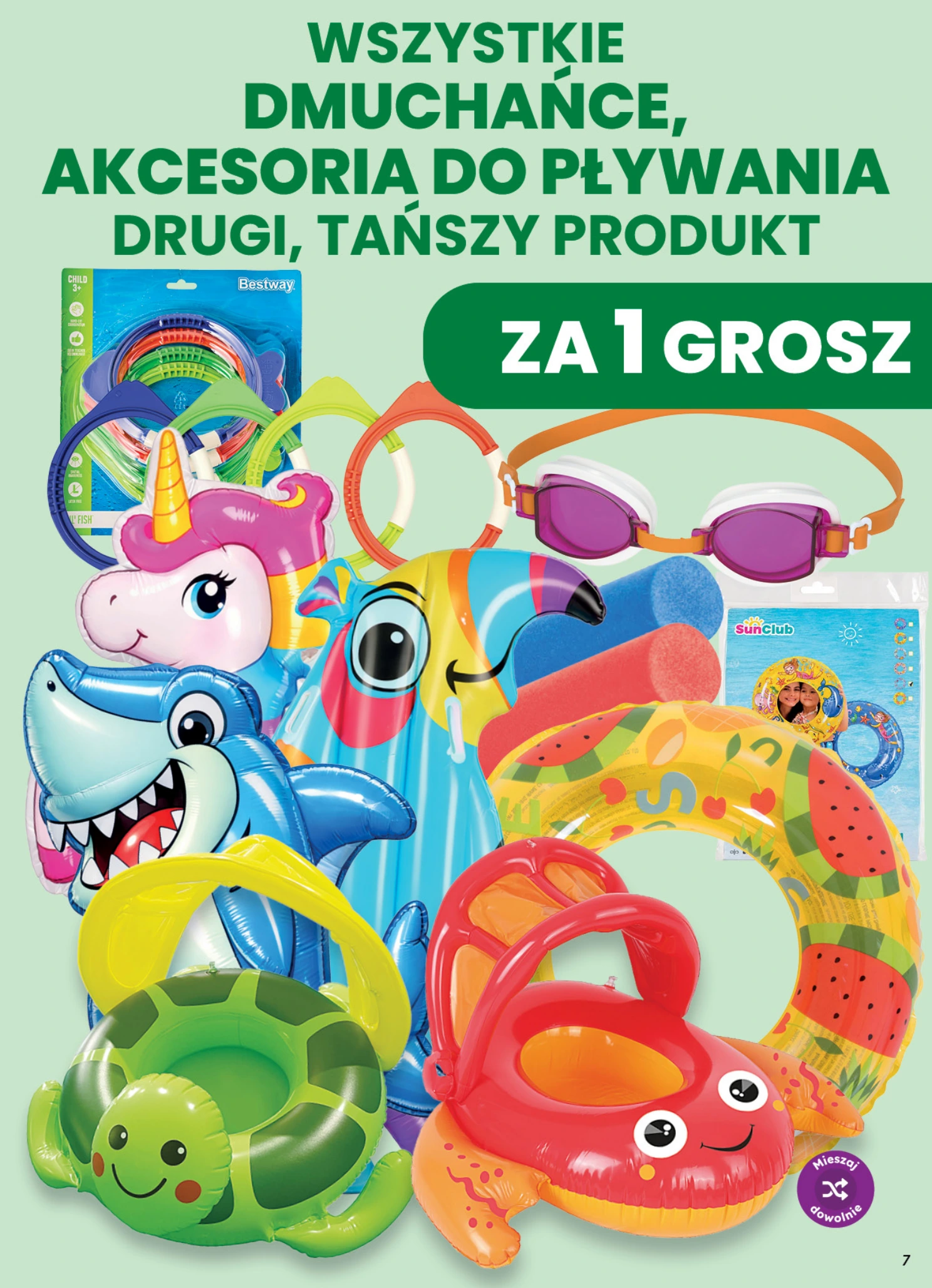 Flyer page 7