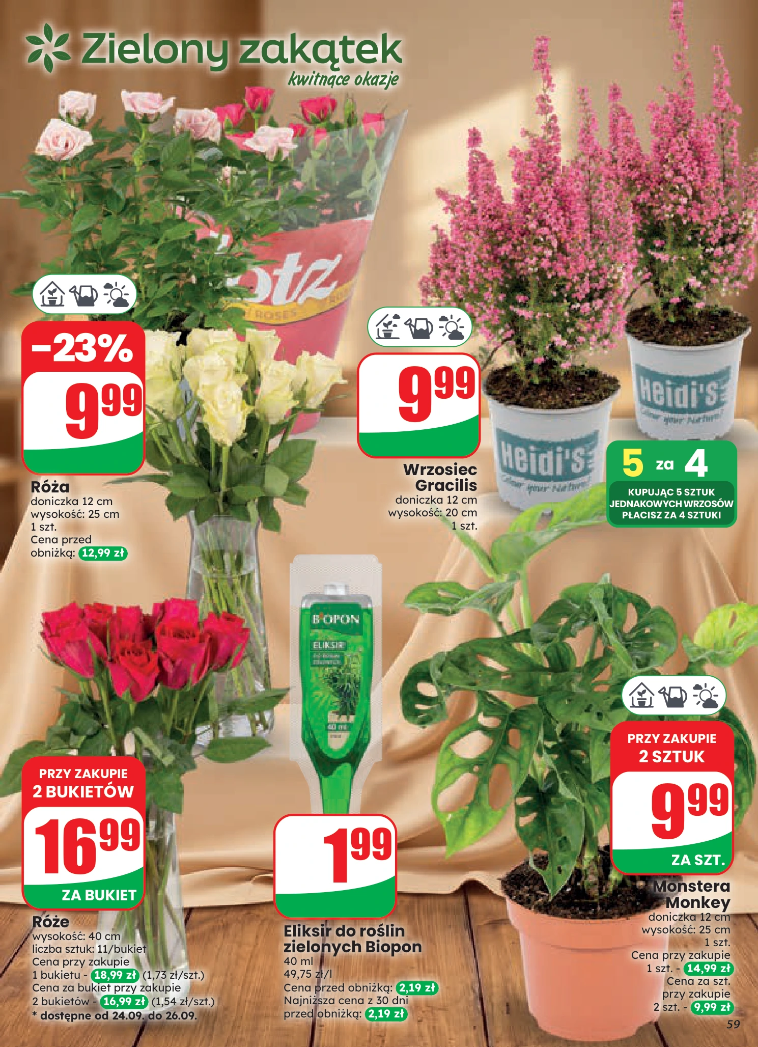 Flyer page 59