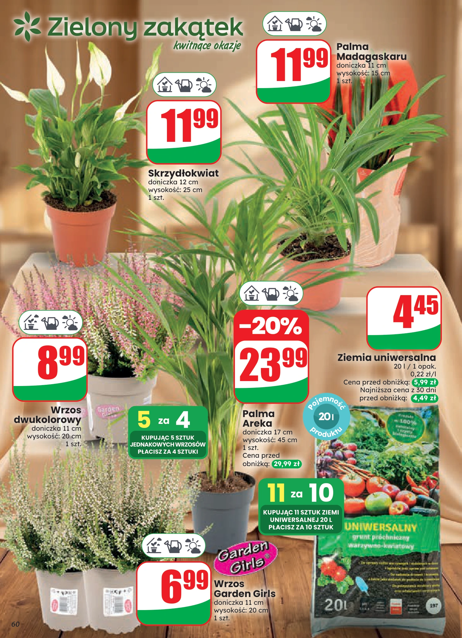 Flyer page 60