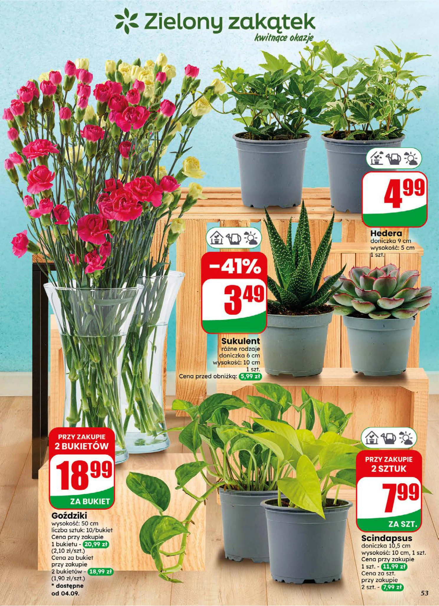 Flyer page 53