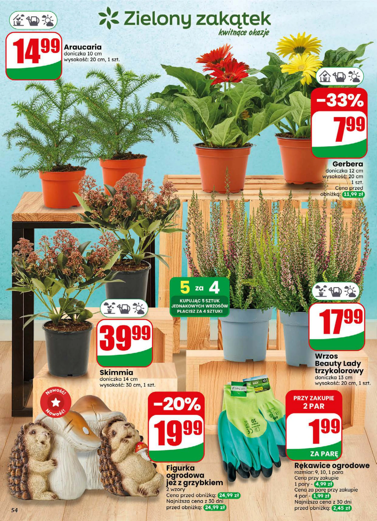 Flyer page 54
