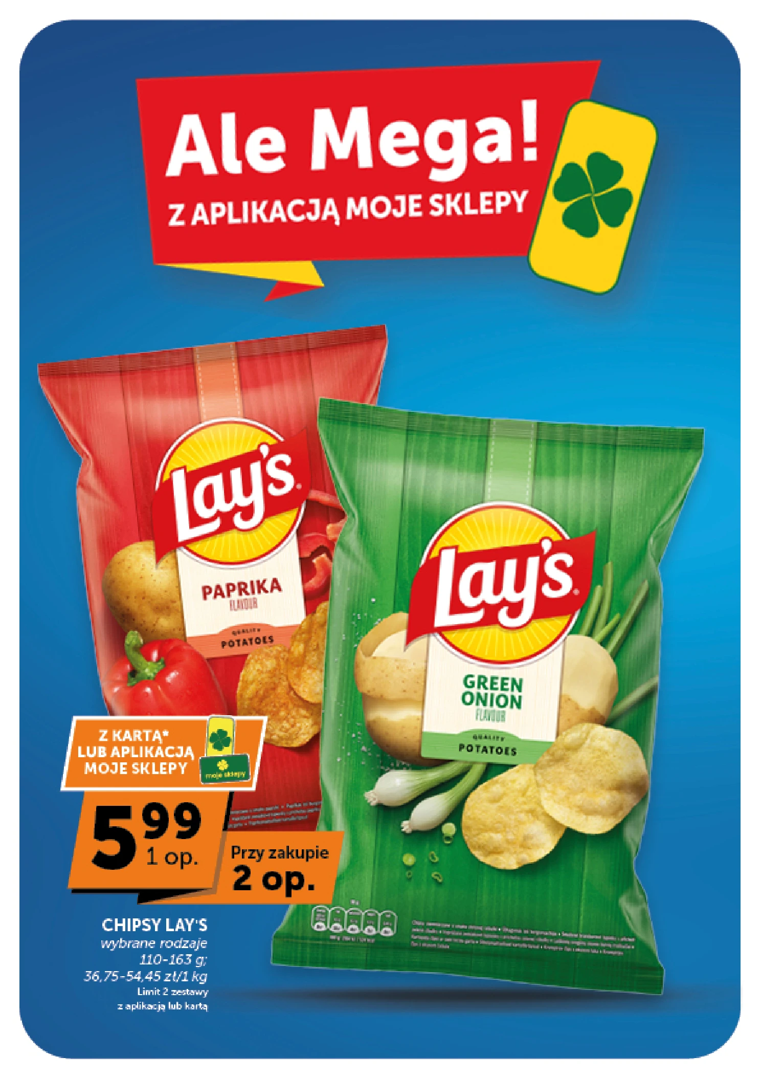 Flyer page 13