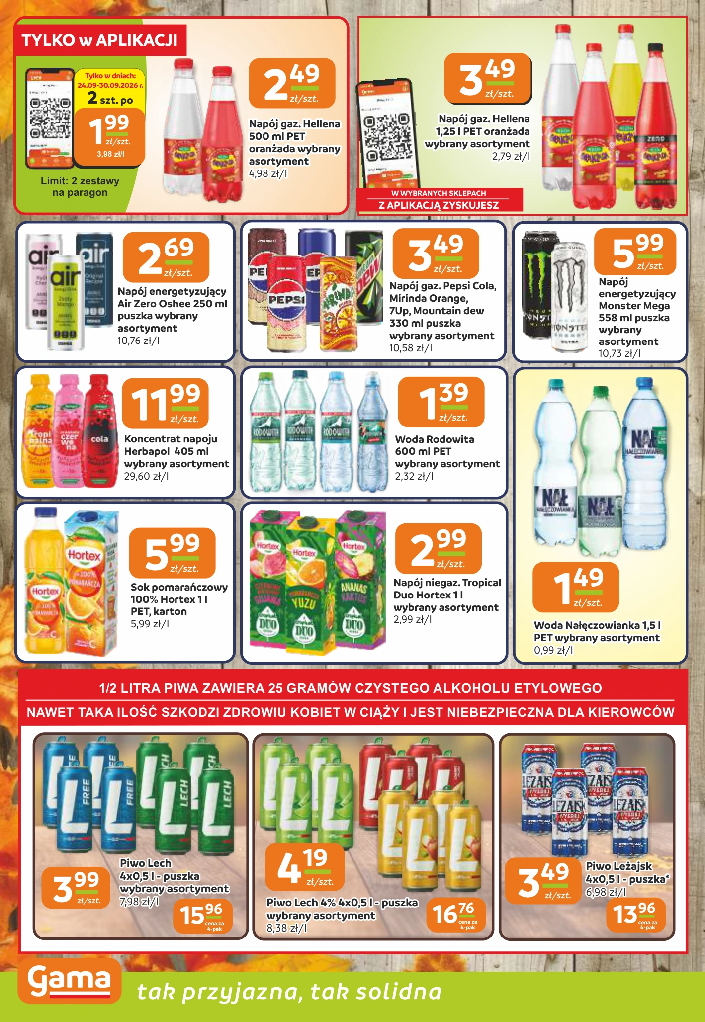 Flyer page 10