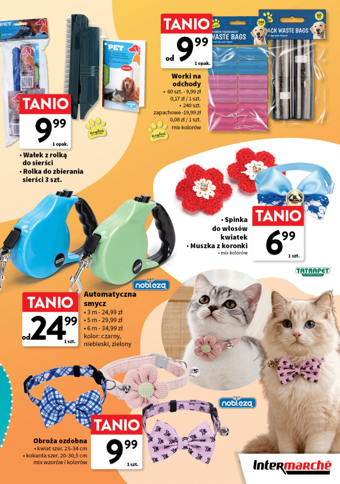 Flyer page 7