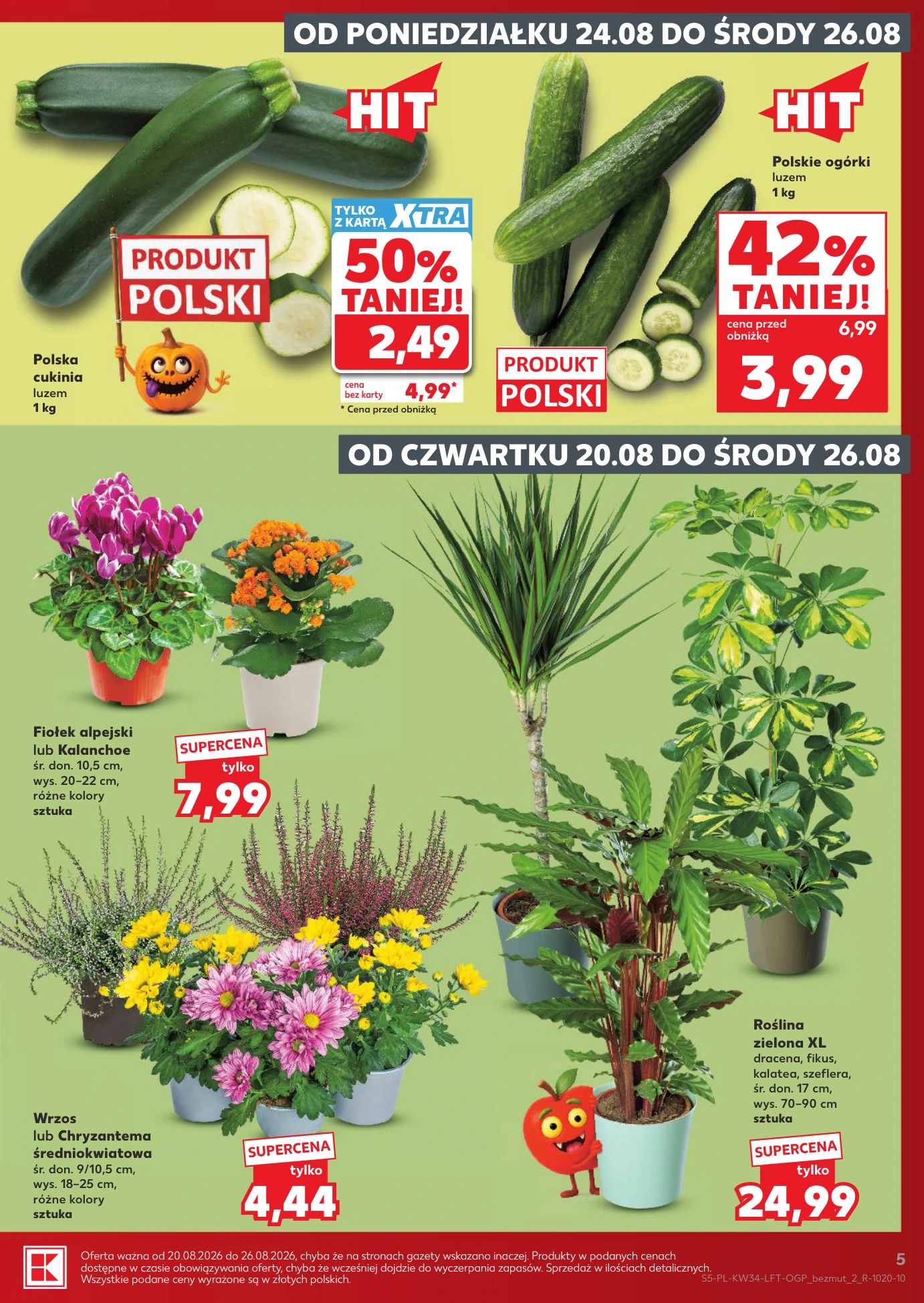 Flyer page 5