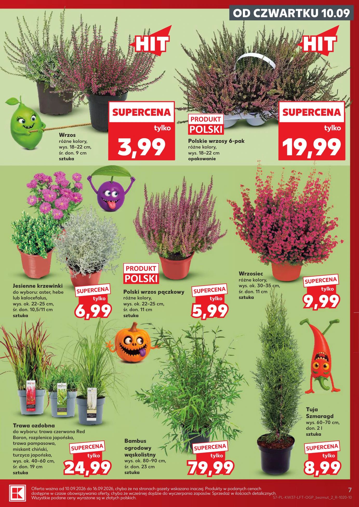 Flyer page 7