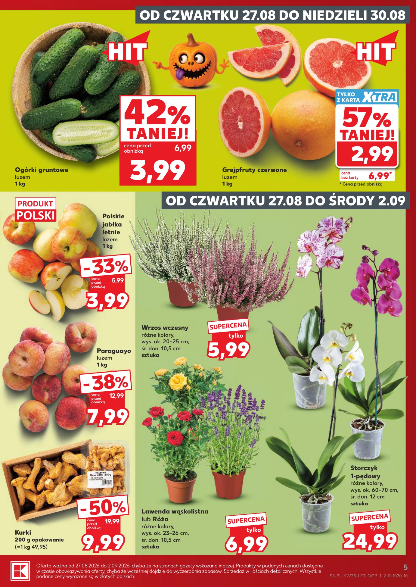 Flyer page 5