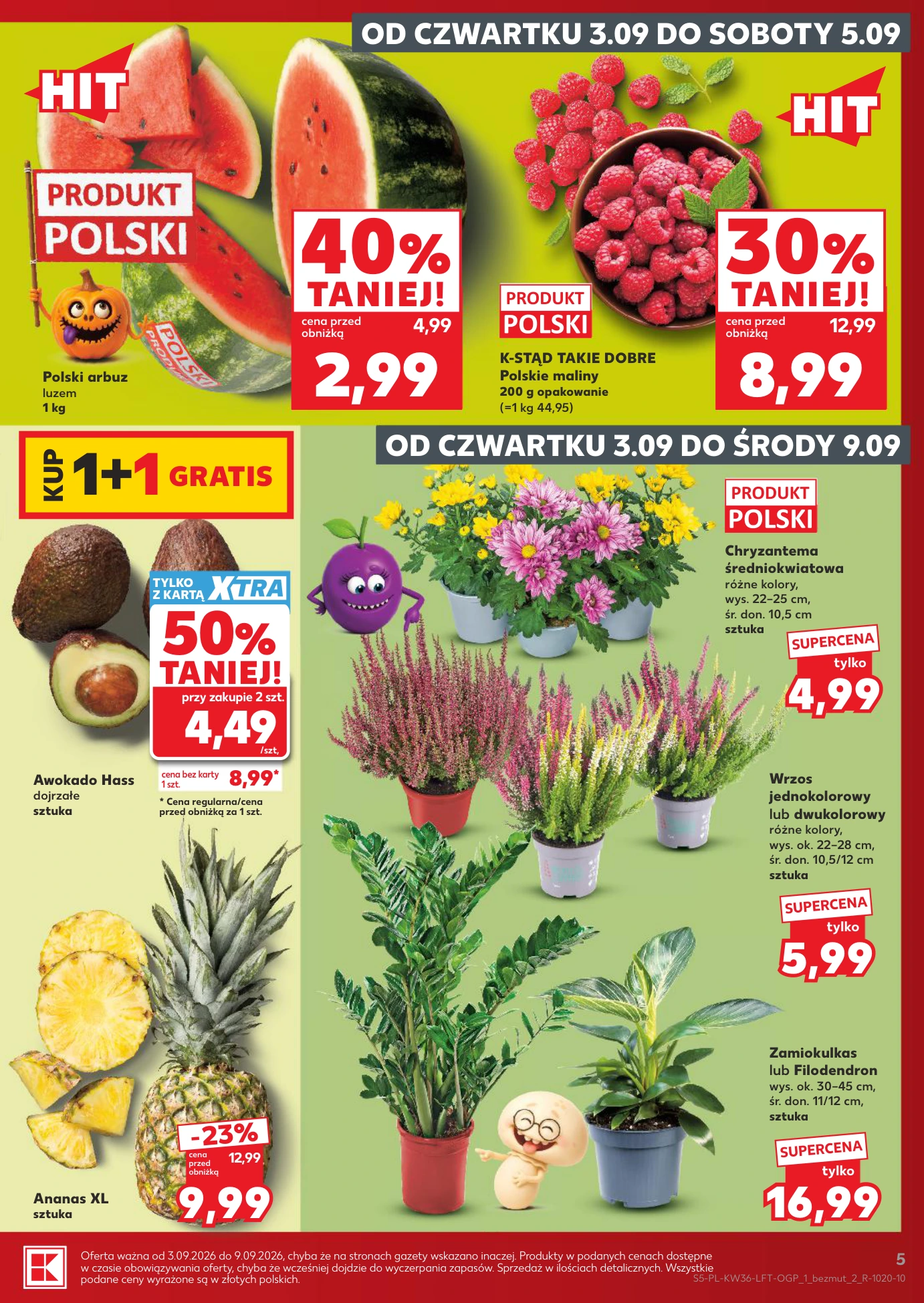 Flyer page 5