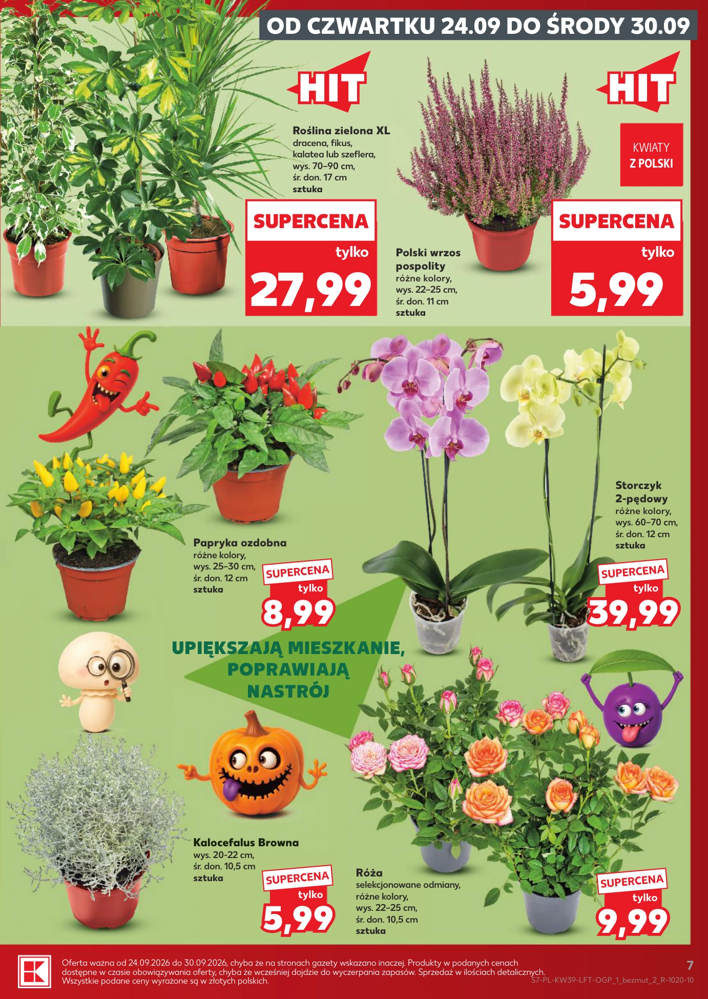 Flyer page 7