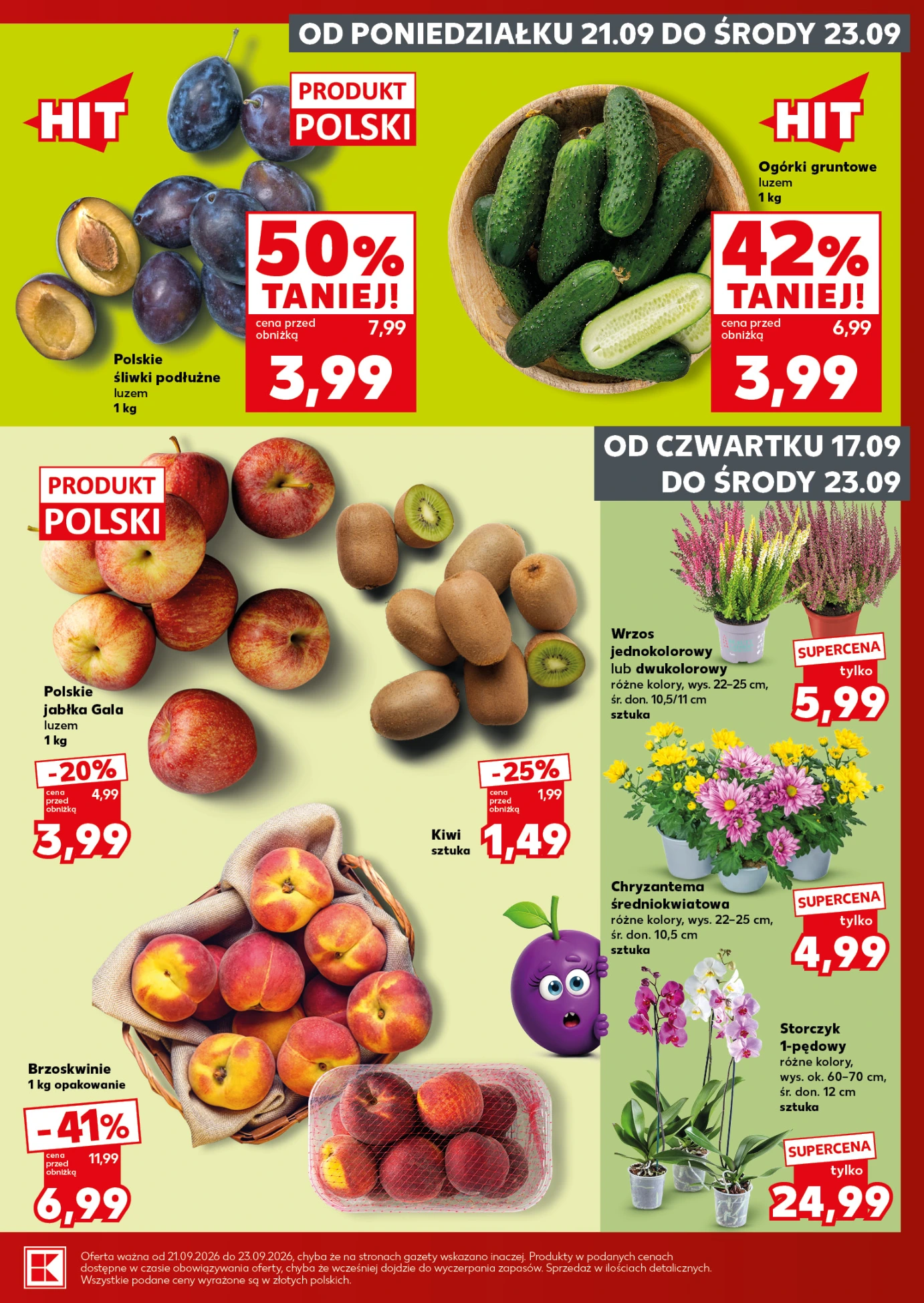 Flyer page 5